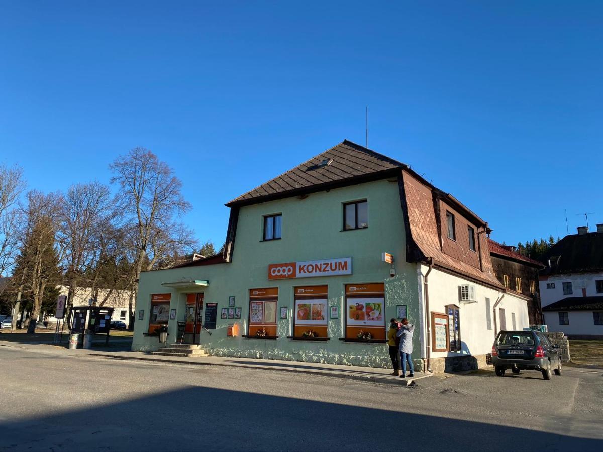 Apartman U Lesa, Srni 119 Eksteriør bilde